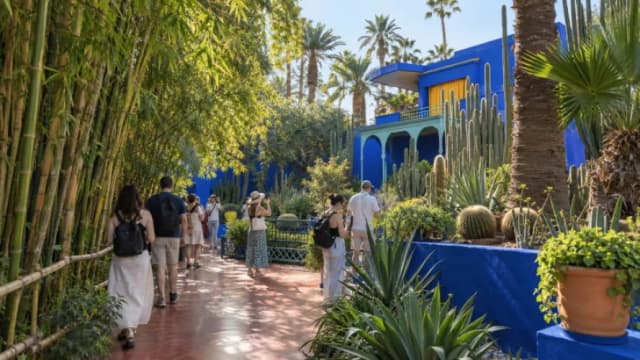 Best Time to Visit Jardin Majorelle and Avoid Crowds
